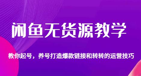 闲鱼无货源教学，教你起号，养号打造爆款链接以及转转的运营技巧-升阶有道