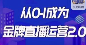 交个朋友·金牌直播运营2.0,运营课从0-1成为金牌直播运营-升阶有道