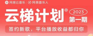 2023年8月份网易云最新独家挂机技术,真正实现挂机月入5000【揭秘】-升阶有道
