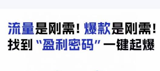电商盈利精品课：6大盈利密码让产品更好卖，流量是刚需！爆款是刚需！找到”盈利密码”一键起爆-升阶有道