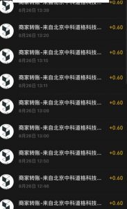 接码无限撸红包一分钟0.6无脑操作一天保底利润200-升阶有道