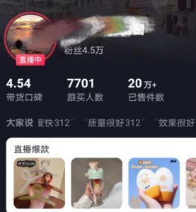 全新的蓝海赛道，抖音一元直播，不用囤货，不用出镜，照读话术也能20w+月销量【揭秘】-升阶有道