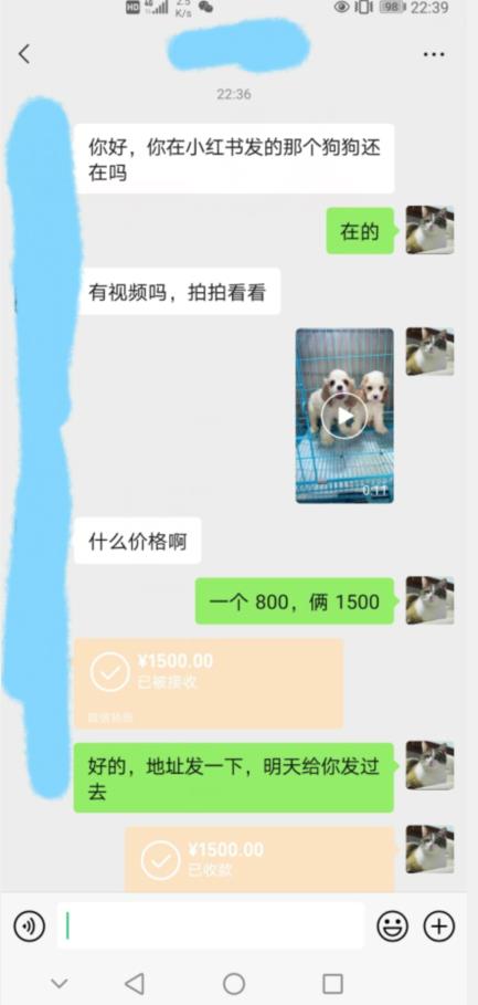 外边收费3980的同城萌宠项目，用最冷门的玩法冲击最热门的市场【揭秘】-升阶有道