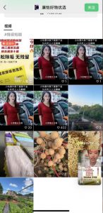 外面收费198的最新视频号连怼技术，条条原创，条条爆单【揭秘】-升阶有道