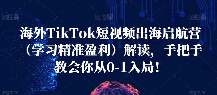 海外TikTok短视频出海启航营（学习精准盈利）解读，手把手教会你从0-1入局！-升阶有道