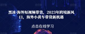 黑冰·海外短视频带货,2023年跨境新风口,海外小黄车带货新机遇-升阶有道