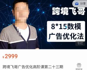 跨境飞哥·广告优化高阶课第二十三期,8*15数模广告优化法,用数据驱动决策-升阶有道