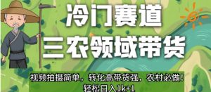 冷门赛道三农领域带货，视频拍摄简单，转化高带货强，农村必做！【揭秘】-升阶有道