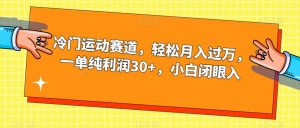 冷门运动赛道，轻松月入过万，一单纯利润30+，小白闭眼入【揭秘】-升阶有道