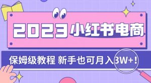 阿本小红书电商陪跑营4.0,带大家从0到1把小红书做起来-升阶有道