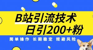 B站引流技术：每天引流200精准粉，简单操作，长期稳定，规避风险-升阶有道