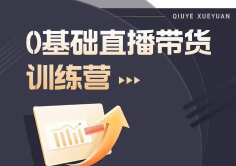 2023直播带货入门进阶运营实训课程，新手直播运营培训实操课-升阶有道