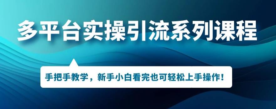 多平台引流实操系列课程，新手小白看完也可轻松上手进行引流操作-升阶有道