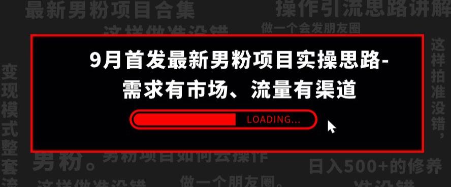 9月首发最新男粉项目实操思路-需求有市场，流量有渠道【揭秘】-升阶有道