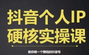 个人IP创富系统实战课,商业定位,流量打造,短视频变现,教你做个赚钱的抖音号-升阶有道