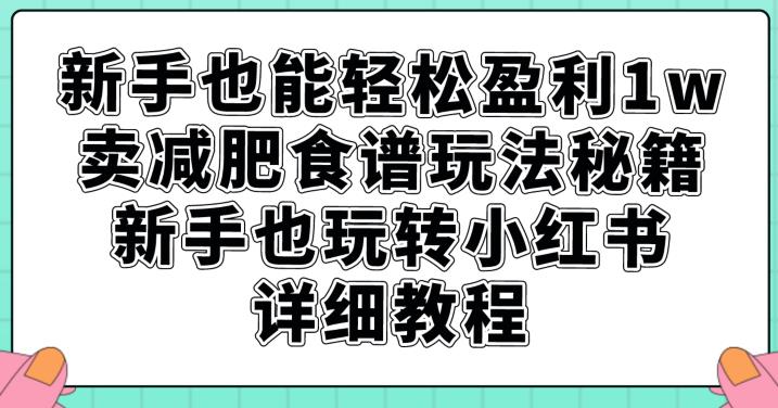 新手也能轻松盈利1w，卖减肥食谱玩法秘籍，新手也玩转小红书详细教程【揭秘】-升阶有道
