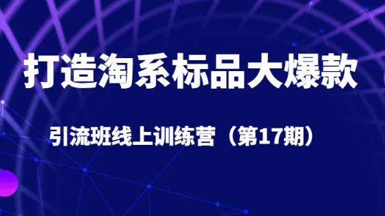 打造淘系标品大爆款引流班线上训练营（第17期）5天直播授课-升阶有道