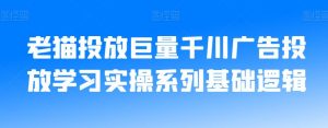 老猫投放巨量千川广告投放学习实操系列基础逻辑-升阶有道