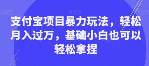 支付宝项目暴力玩法，轻松月入过万，基础小白也可以轻松拿捏【揭秘】-升阶有道