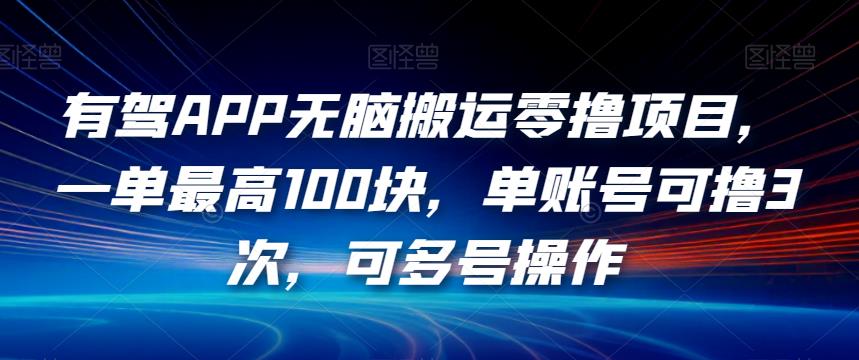 有驾APP无脑搬运零撸项目，一单最高100块，单账号可撸3次，可多号操作【揭秘】-升阶有道