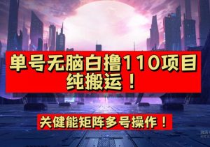 9月全网首发，单号直接白撸110！可多号操作，无脑搬运复制粘贴【揭秘】-升阶有道
