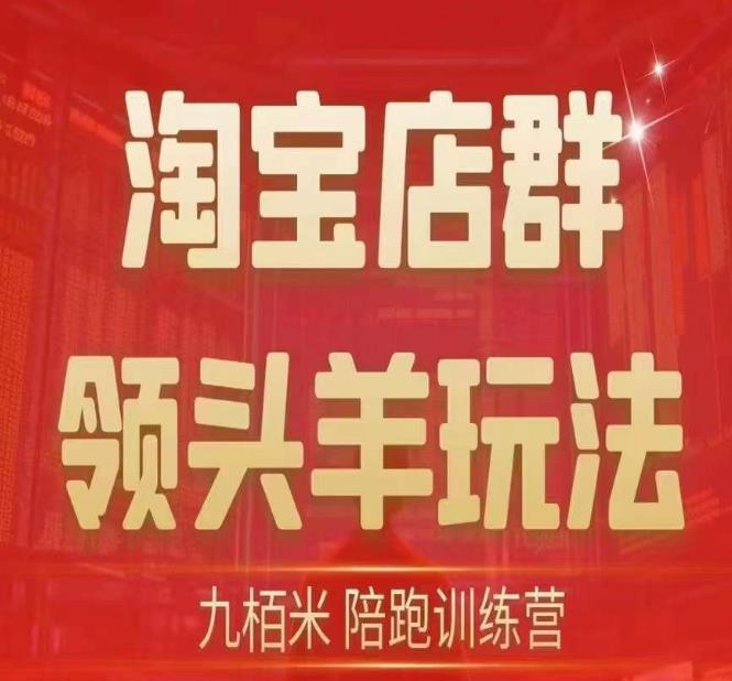 九栢米-淘宝店群领头羊玩法，教你整个淘宝店群领头羊玩法以及精细化/终极蓝海/尾销等内容-升阶有道