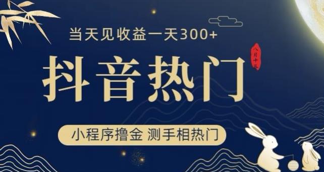 抖音最新小程序撸金，测手相上热门，当天见收益一小时变现300+【揭秘】-升阶有道