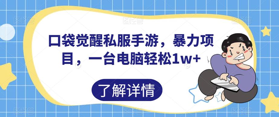 口袋觉醒私服手游，暴力项目，一台电脑轻松1w+【揭秘】-升阶有道