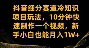 抖音细分赛道冷知识项目玩法，10分钟快速制作一个视频，新手小白也能月入1W+【揭秘】-升阶有道