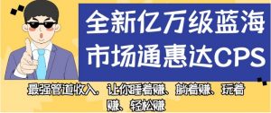 全新亿万级蓝海市场通惠达cps,最强管道收入,让你睡着赚、躺着赚、玩着赚、轻松赚【揭秘】-升阶有道