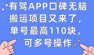 有驾APP口碑无脑搬运项目又来了，单号最高110块，可多号操作-升阶有道
