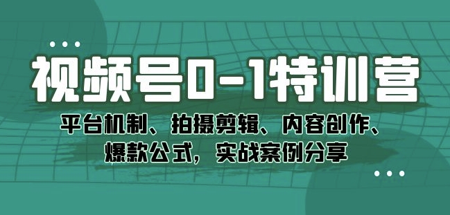 视频号0-1特训营：平台机制、拍摄剪辑、内容创作、爆款公式，实战案例分享-升阶有道
