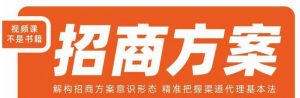 王昕招商方案，解构招商方案意识形态，精准把握渠道代理基本法-升阶有道