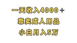 一天收入4000+,靠卖成人用品,小白轻松月入5万【揭秘】-升阶有道