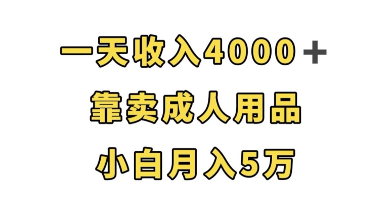 一天收入4000+，靠卖成人用品，小白轻松月入5万【揭秘】-升阶有道