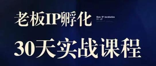 诸葛·2023老板IP实战课，实体同城引流获客，IP孵化必听-升阶有道