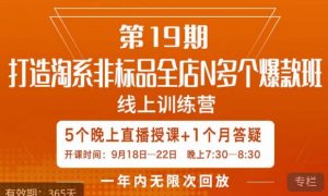 打造淘系非标全店N多个爆款线上课,5天直播课-升阶有道