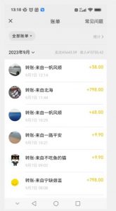 卖古籍电子书,作品只需要简单的图片去重,高客单价高利润,月入五位轻轻松松-升阶有道