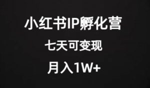 价值2000+的小红书IP孵化营项目,超级大蓝海,七天即可开始变现,稳定月入1W+-升阶有道
