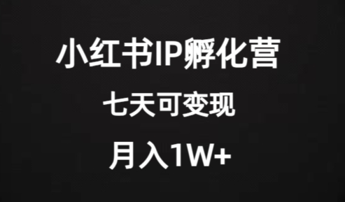 价值2000+的小红书IP孵化营项目，超级大蓝海，七天即可开始变现，稳定月入1W+-升阶有道