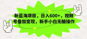 新蓝海项目,日入600+,视频号叠加变现,新手小白无脑操作【揭秘】-升阶有道