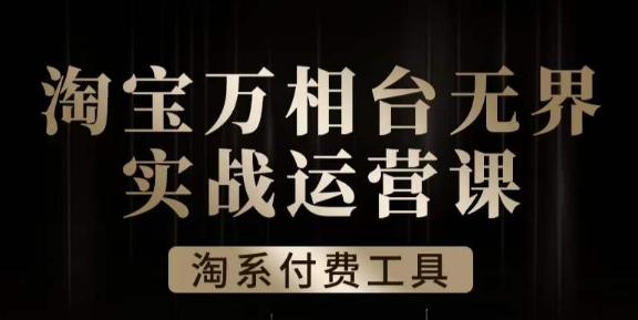 沧海·淘系万相台无界实战运营课，万相台无界实操全案例解析-升阶有道