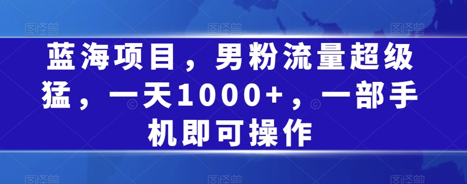 蓝海项目，男粉流量超级猛，一天1000+，一部手机即可操作【揭秘】-升阶有道