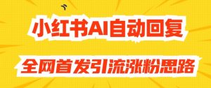 【原创开发】小红书AI自动回复,全网首发引流涨粉思路-升阶有道