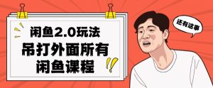 闲鱼2.0玩法单号每天日入2000，吊打市面所有课程-升阶有道
