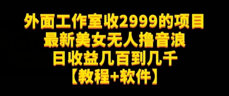 外面工作室收2999的项目最新美女无人撸音浪日收益几百到几千【教程+软件】（仅揭秘）-升阶有道