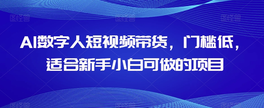 AI数字人短视频带货，门槛低，适合新手小白可做的项目-升阶有道