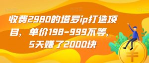 收费2980的塔罗ip打造项目，单价198-999不等，5天赚了2000块【揭秘】-升阶有道
