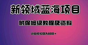 虚拟资源蓝海领域新项目,轻松日入800+,附保姆级教程及资料-升阶有道