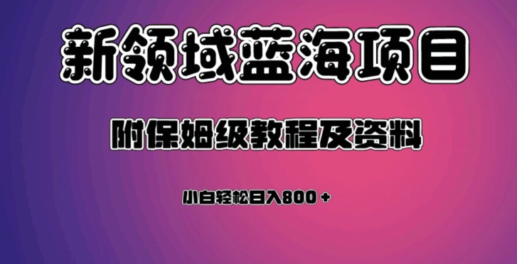 虚拟资源蓝海领域新项目，轻松日入800＋，附保姆级教程及资料-升阶有道